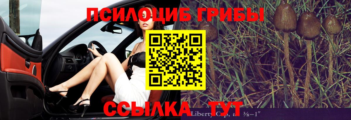 Псилоцибиновые грибы мицелий Нарткала